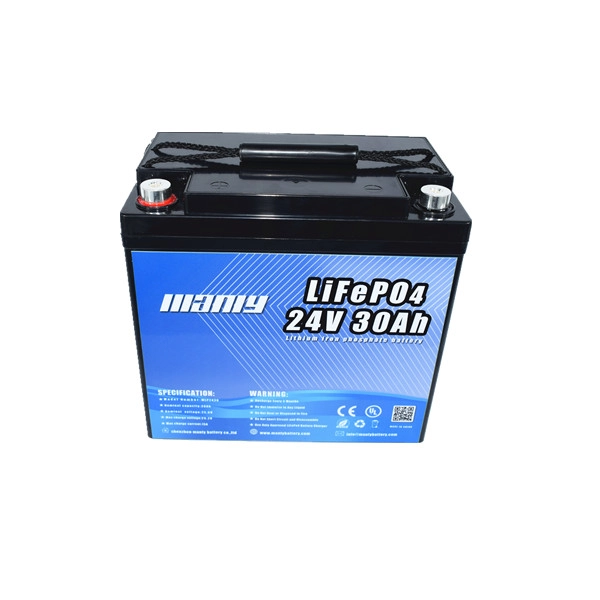 24V 30Ah LiFePO4 Battery - Lightweight Battery - MANLY