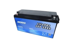 48v 30ah lifepo4 battery - manly - manly