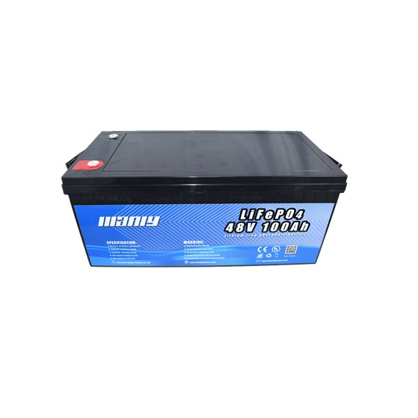 48V 100AH Battery - 8D - Volthium