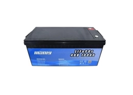 51. 2v 100ah lifepo4 battery - manly - manly