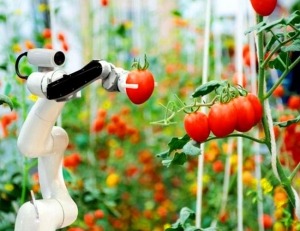 Agricultural robot - manly