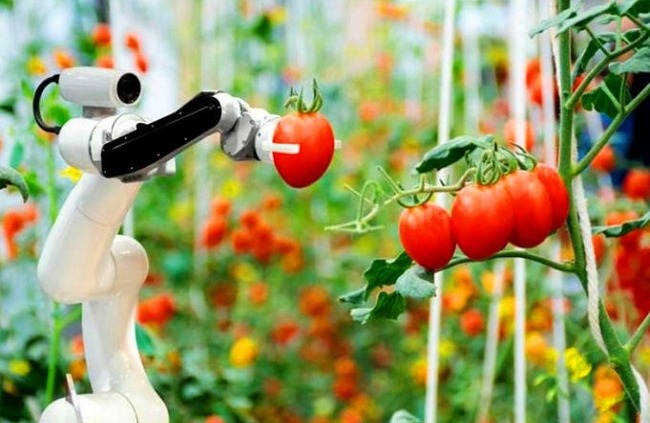 Definition And Types Of Agricultural Robots Manly