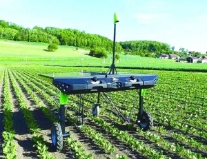 Weeding robot - manly