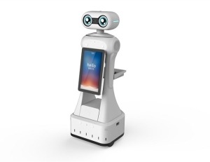 Temperature measuring robot - manly