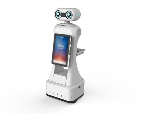 Temperature measuring robot - manly