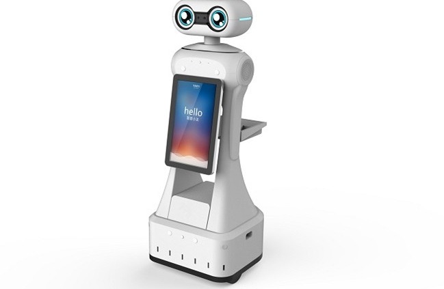 Temperature measuring robot - manly