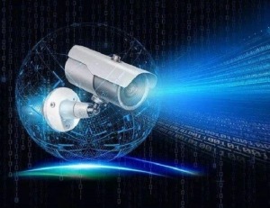 What is a security system - manly