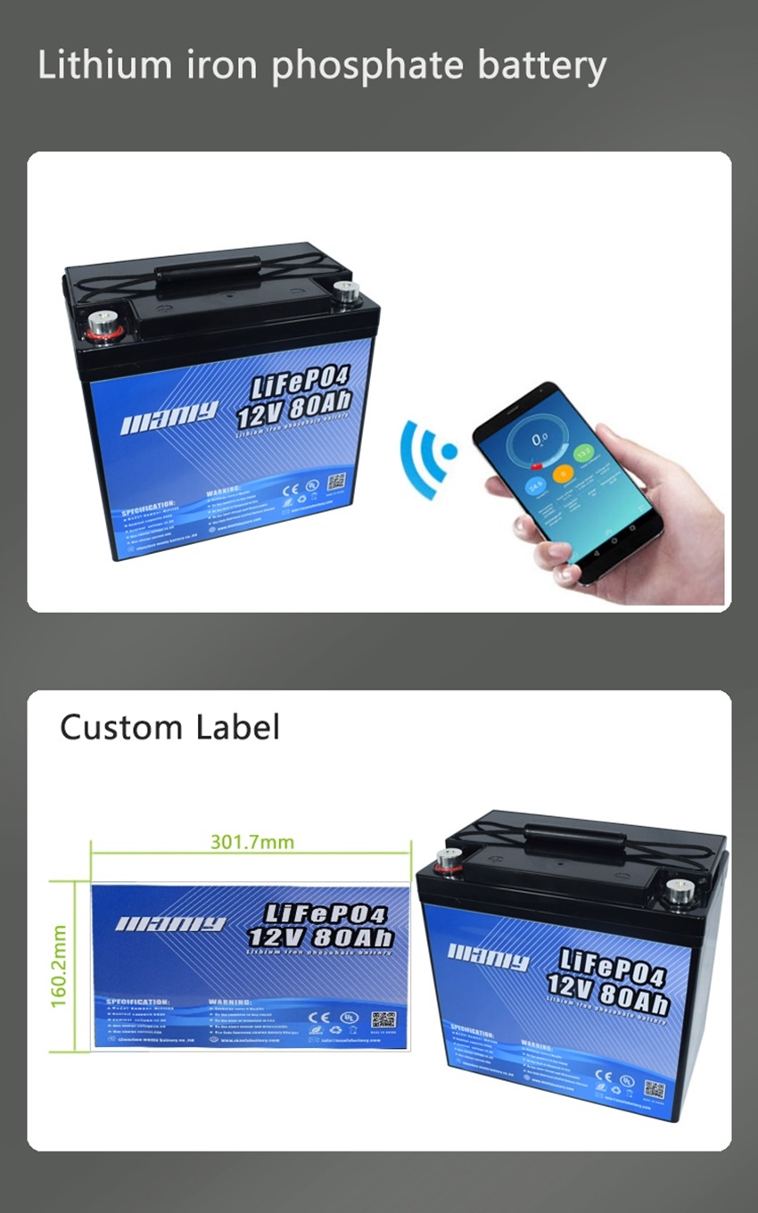 12V, 80Ah LFP Battery (ABS, BLF-1280AS)