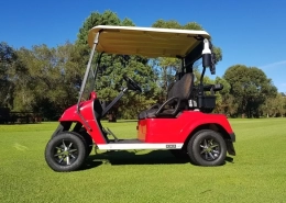 Golf-cart-845x684 - manly