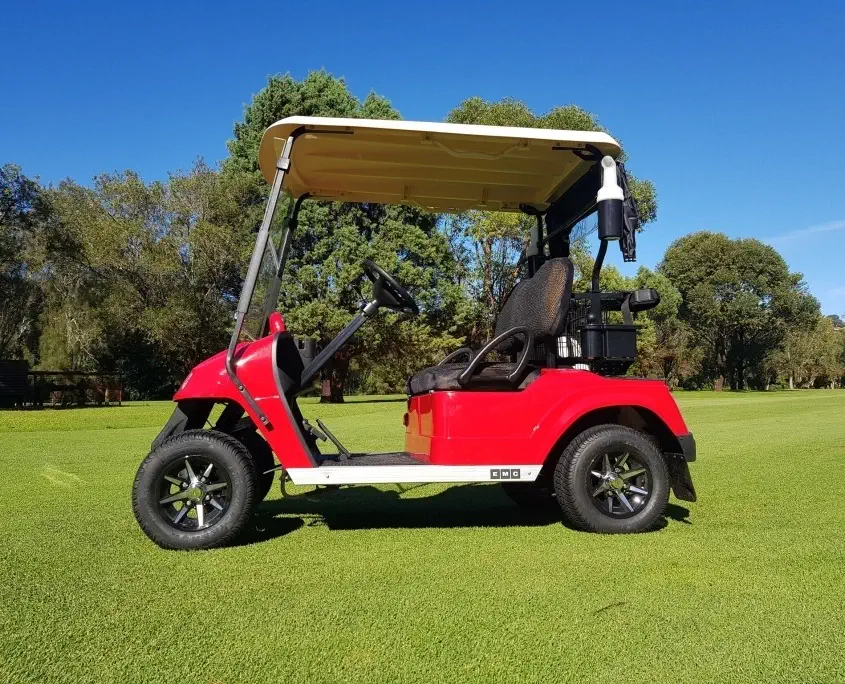 Expert Tips on Golf Cart Battery Charging Times - MANLY