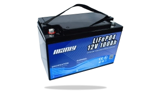 12v 100ah lifepo4 battery - manly
