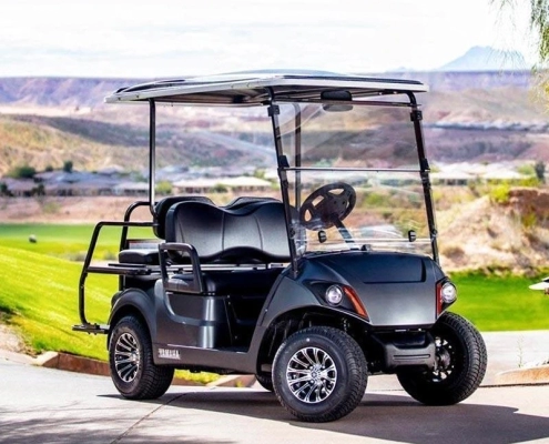 12 volt golf cart batteries - manly