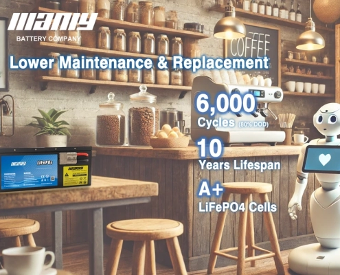 24v 100ah lifepo4 lithium battery lifespan - manly