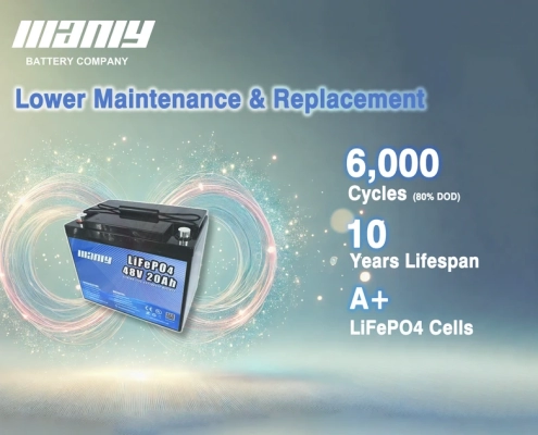 48v 20ah lithium battery lifespan - manly