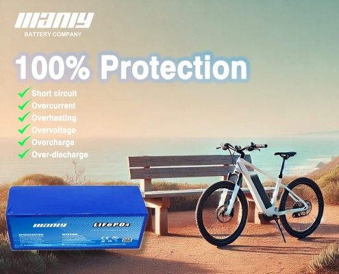 48v 20ah lithium ebike battery protection​ - manly