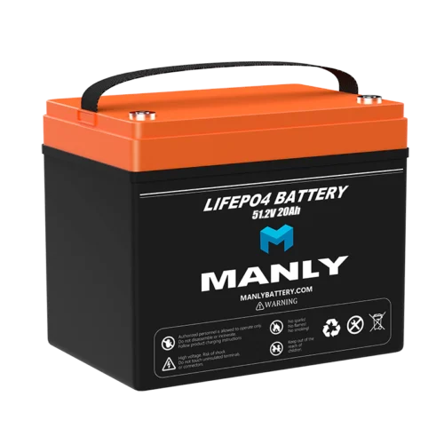 Batteria Al Litio 24V 20Ah Per Bici Elettrica - Con BMS, Caricabatterie 25,2V 2A, Per Motori Sotto 500W, Dimensioni 130x58x65 Mm
