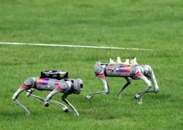 Hangzhou asian games 2023: robotic dog revolution - manly