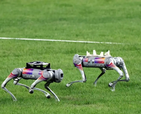Hangzhou asian games 2023: robotic dog revolution - manly