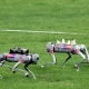HangZhou Asian Games 2023: Robotic Dog Revolution