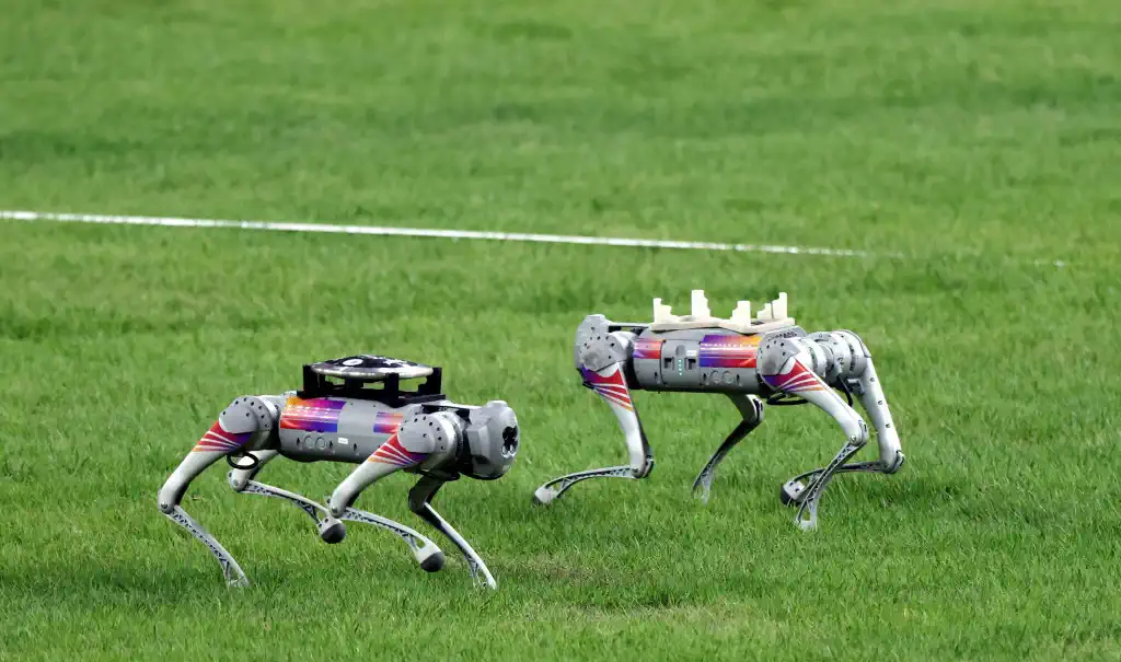 A four-legged robotic system for playing soccer on various terrains, MIT  News