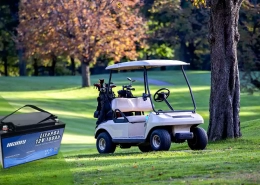 Golf cart battery - manly