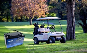 Golf cart battery - manly