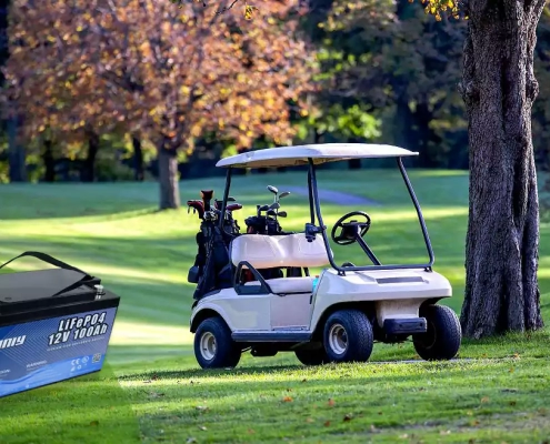 Golf cart battery - manly