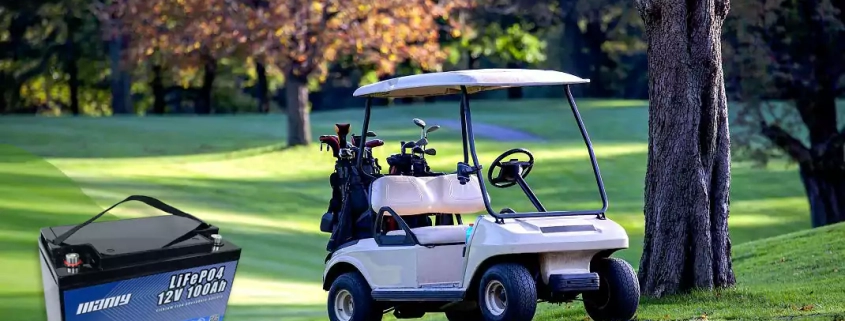 Golf cart battery - manly