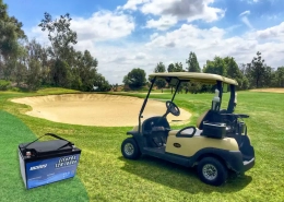 Golf cart battery - manly