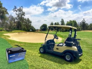 Golf cart battery - manly