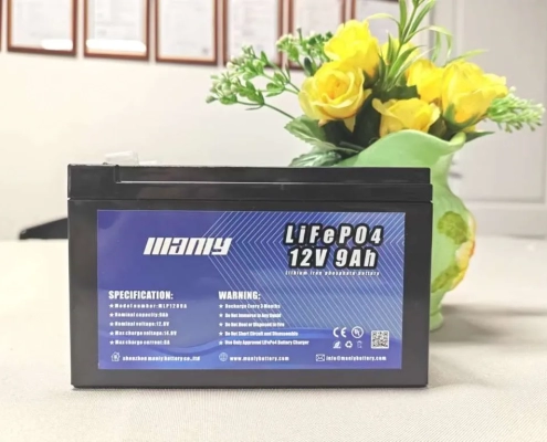 12v 9ah lifepo4 battery - bulk battery - manly battery - manly