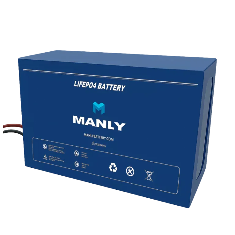 Shop MANLY lifepo4 battery - pvc battery