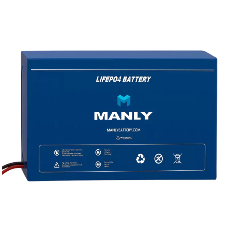 Shop MANLY lifepo4 battery - pvc battery