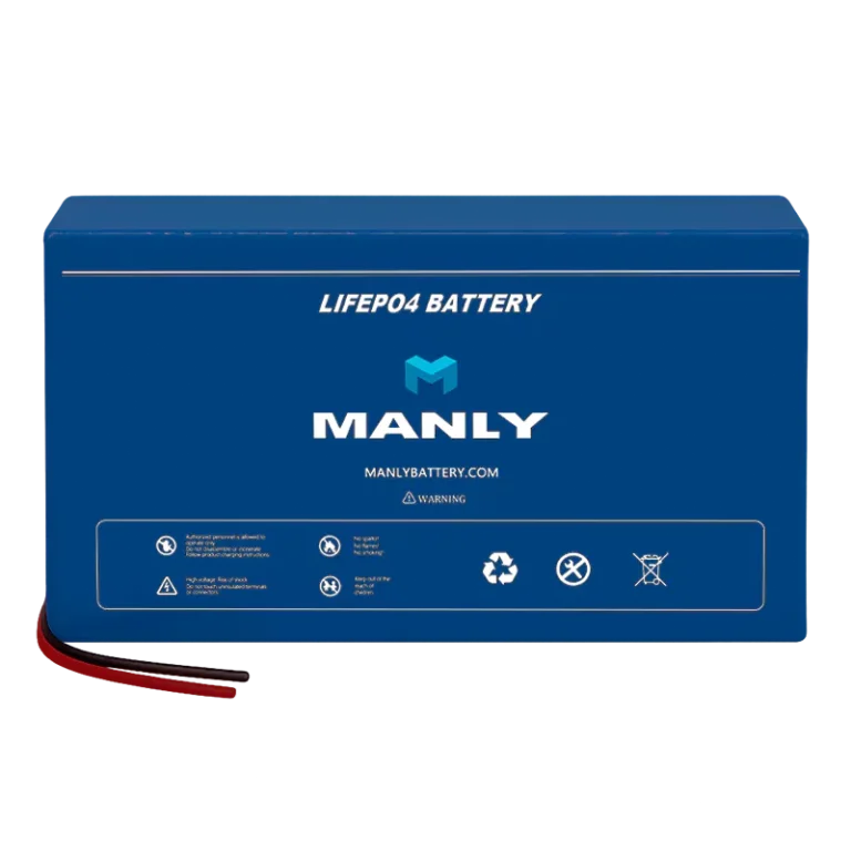 Shop MANLY lifepo4 battery - pvc battery