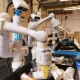 lithium powered sorting robot