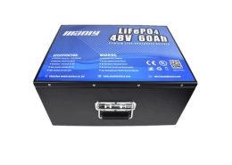 48v lithium golf cart battery - manly