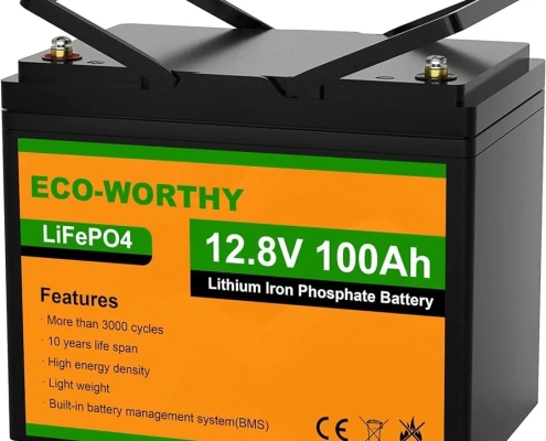 Eco worthy 12v 100ah lifepo4 battery - manly