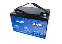 Manly lifepo4 battery - manly