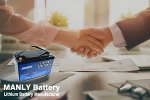 2024 how to make a direct purchase from manufacturer - manly