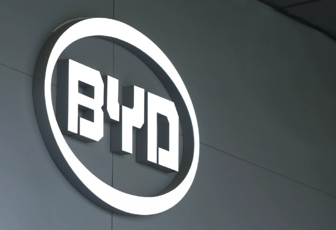 Byd logo - manly