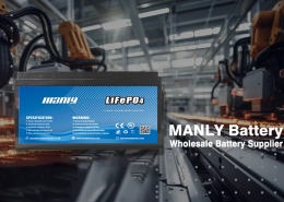 Wholesale battery supplier - manly battery - manly