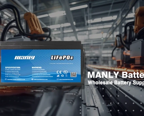 Wholesale battery supplier - manly battery - manly