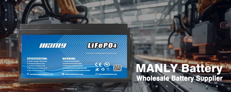 Wholesale battery supplier - manly battery - manly