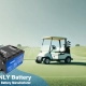 Golf cart battery manufacturer - manly