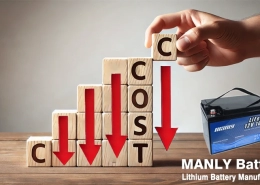 Buy direct from battery manufacturer cost reduce - manly