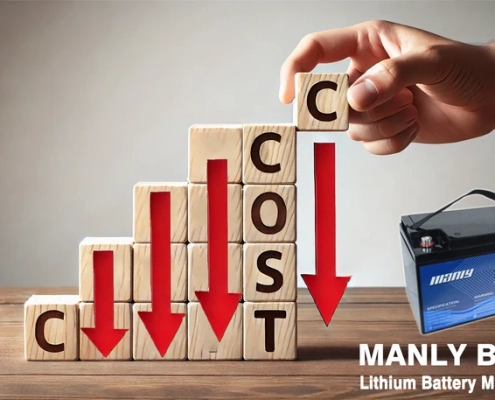 Buy direct from battery manufacturer cost reduce - manly