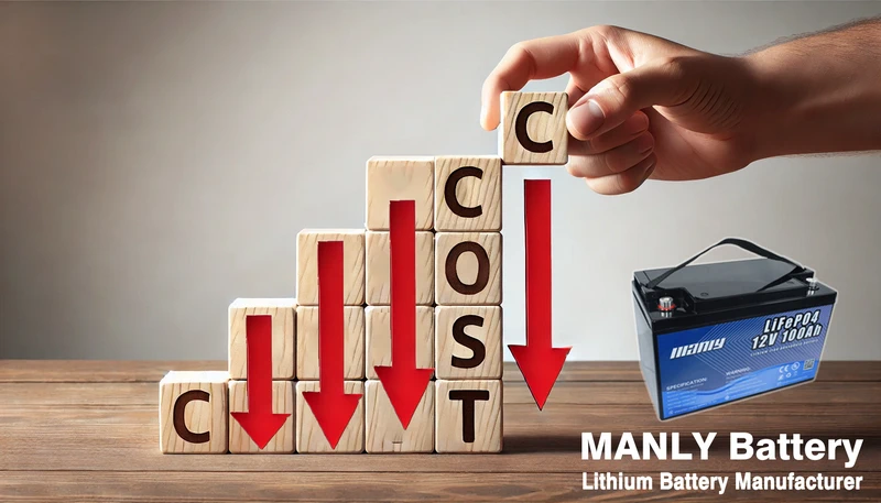 Buy direct from battery manufacturer cost reduce - manly