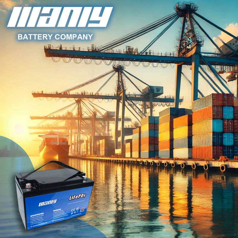 Lithium battery vendor - manly