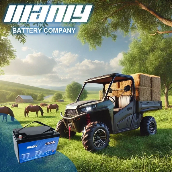 Utv battery