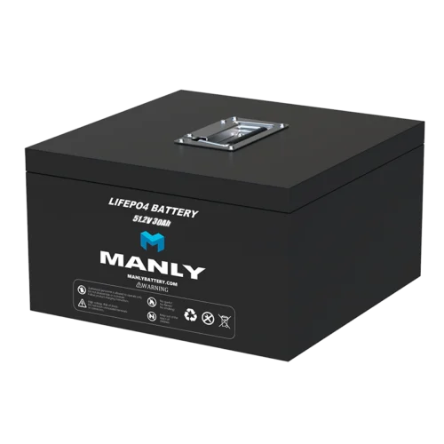 48v 30ah lifepo4 lithium battery - manly